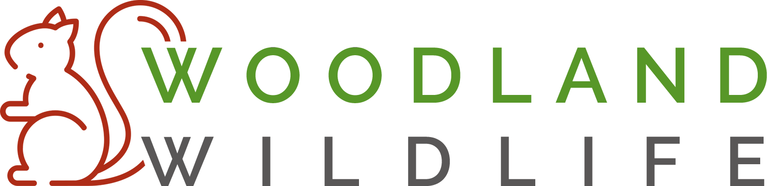 Woodland wildlife logo